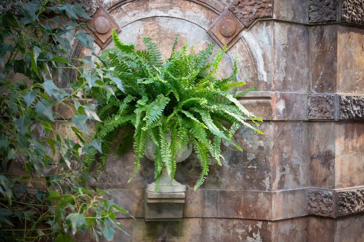 Rustiikkia kauneutta