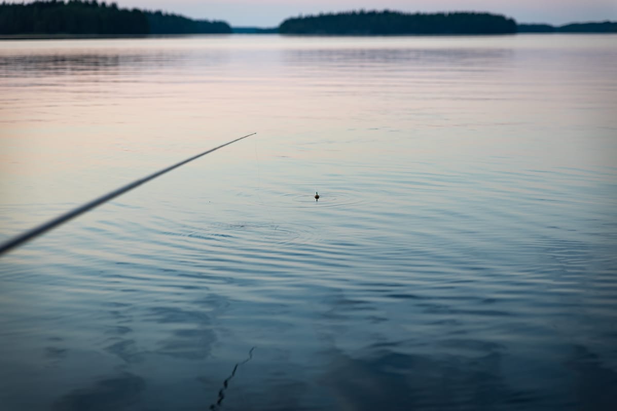 Pannukarkeiden jahtia kesäillassa