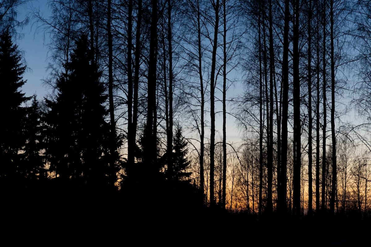 Keskitalven pakkaset